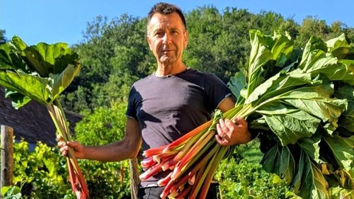 FOTO | Cum a ajuns un sociolog să cultive rubarbă într-un sat din Transilvania / Mircea Muntean: „Nu recomand nimănui să înceapă doar pentru bani”. „Am făcut și vin, și bere, și chipsuri din rubarbă” / De ce nu poate fi cultivată oriunde
