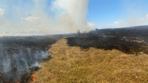 Pompierii: Incendiul care a afectat peste 400 de hectare din Jurilovca, Sarichioi şi Poligonul Babadag a pornit de la un proiectil tras din poligon/ Incendiul a fost stins după multe ore
