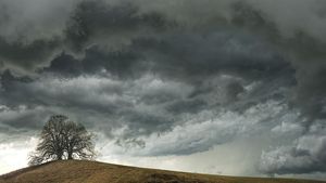 Meteo: Cod portocaliu şi Cod galben de vânt puternic în 27 de judeţe, duminică şi luni; Cod galben în restul ţării de duminică seara