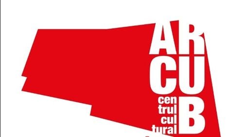 Contracte de 5,2 milioane lei, atribute direct de Arcub, fără licitații