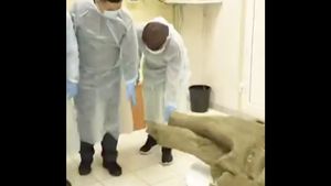 Rusia dezvăluie un pui de mamut aproape intact, vechi de 50.000 de ani