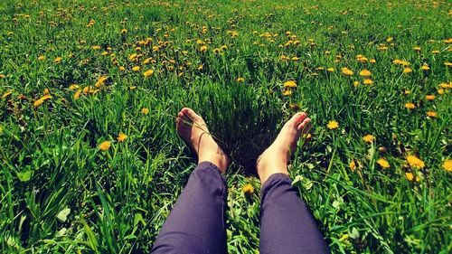 A renunțat la o carieră de 13 ani în multinaționale pentru a face săpun de casă, la țară: ”Luxul pe care eu îl am este timpul” / ”Am plecat de la a închiria o casă și de a vedea dacă sunt capabilă să trăiesc, să mă susțin”