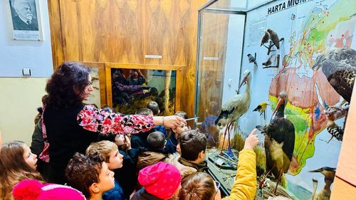 Muzeul de Ştiinţe Naturale din Piatra-Neamţ va fi reabilitat şi consolidat seismic cu fonduri de la bugetul naţional şi judeţean / Clădirea a fost construită în 1938