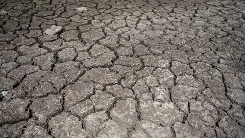 Secetă în Dobrogea, pe suprafeţe extinse din Moldova şi în unele zone din Muntenia şi Banat / ”Aprovizionarea cu apă a solului se va situa în limite satisfăcătoare până la apropiate de optim şi optime în Maramureş, Crişana, Banat, Transilvania şi Oltenia”