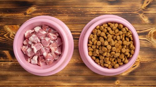 Hrana congelată și crudă (BARF) pentru animale de companie: Beneficii, riscuri și ce spun medicii veterinari