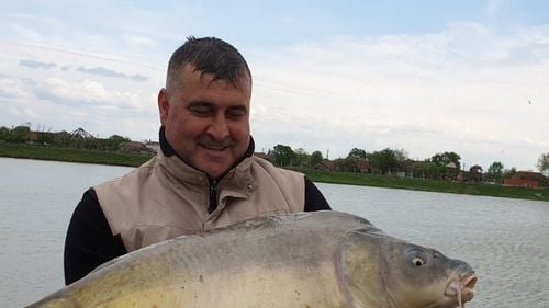 Un economist - director de restaurant, numit șeful spitalului din localitatea Cîmpeni. Consilier local PNL, el a scris că se poate trata coronavirusul cu aspirine și faptul că ”ventilatoarele și unitățile de terapie intensivă nu sunt necesare”