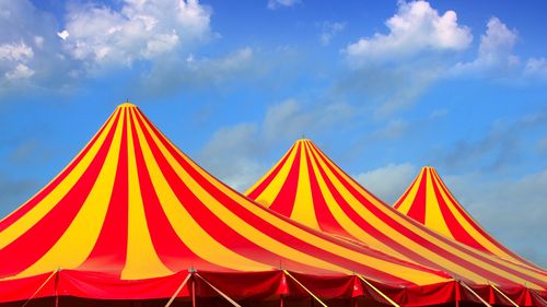 Acrobat rănit după o cădere de la patru metri, la un spectacol de circ din Craiova