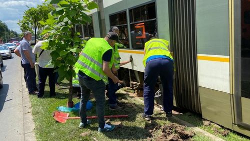 Circulația tramvaielor pe linia 32, blocată pe Calea Rahovei, din cauza unei defecțiuni