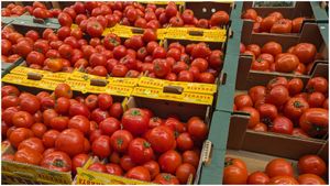 Cum să alegi tomatele la piață sau supermarket: 5 sfaturi de la un producător de legume bio / De ce nu trebuie să le păstrezi la frigider