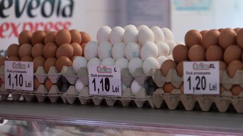 BREAKING Prima controversă PSD-PNL în noul guvern: premierul Ciolacu respinge categoric propunerea ministrului de Finanțe pentru scăderea TVA la alimentele de bază