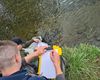 StudiiDeMediu.ai: ghidul tău în jungla documentațiilor de mediu