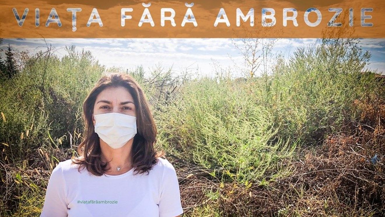 Amenzi majorate pentru persoanele care nu distrug ambrozia de pe terenurile pe care le dețin / Controalele pot fi realizate și de Garda de Mediu și poliția locală, nu doar de primării