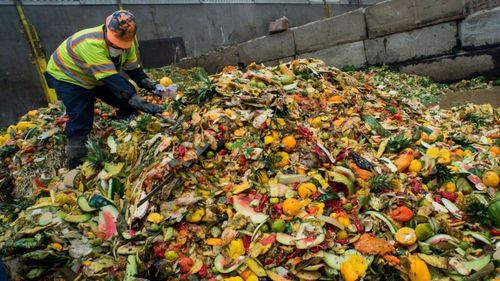 Parlamentul European a adoptat noi reguli pentru reducerea risipei alimentare. Deșeurile textile sunt vizate și ele. În UE se aruncă 132 kg de alimente pe an, de persoană