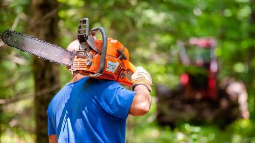 Parlamentul a votat un proiect de lege inițiat de PSD prin care foștii proprietari vor putea fi împroprietăriți cu păduri care au aparținut dintotdeauna statului/ WWF: Facem apel la Preşedintele României să nu promulge legea/ Ne va prejudicia pe fiecare dintre noi