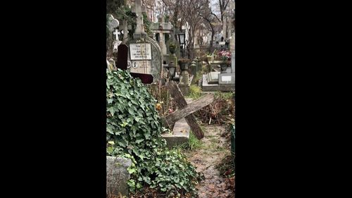 FOTO Actriţa Oana Pellea, după o vizită la Cimitirul Bellu: Doamne, Dumnezeule mare… Ce Ruşine!   