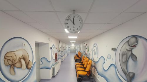 VIDEO&FOTO Prima secție funcțională din noul Spital de Copii din Timișoara: UPU a fost inaugurată