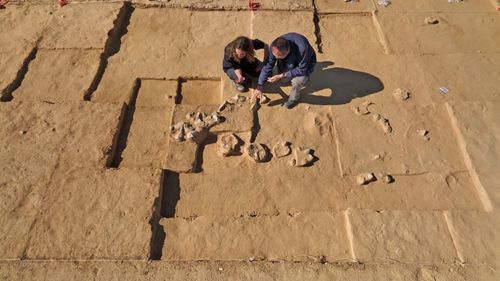 Opt ouă de struţ cu o vechime de până la 7.500 de ani, descoperite în Israel