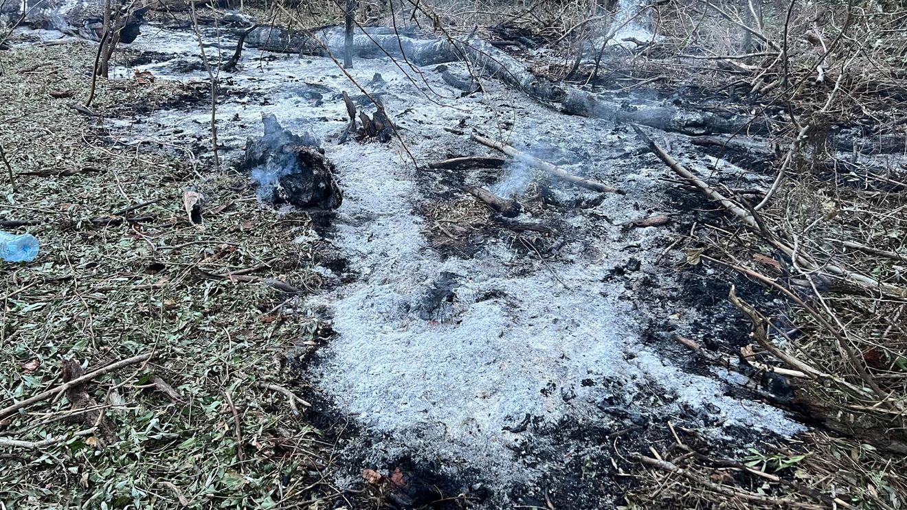 Resturile de drone de provenienţă rusească găsite în România: NATO susține că nu sunt indicii care să dovedească un atac intenţionat