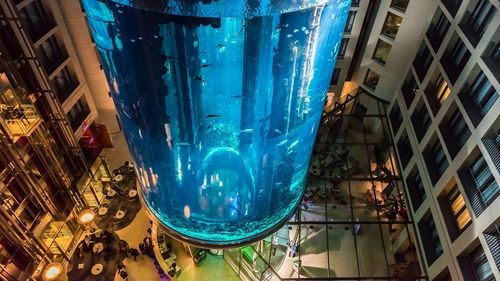 „Aquadom”, acvariul uriaş al unui hotel din Berlin care s-a spart în 2022, va fi înlocuit cu o grădină verticală / Hotelul ar putea fi redeschis la sfârșitul anului 2024