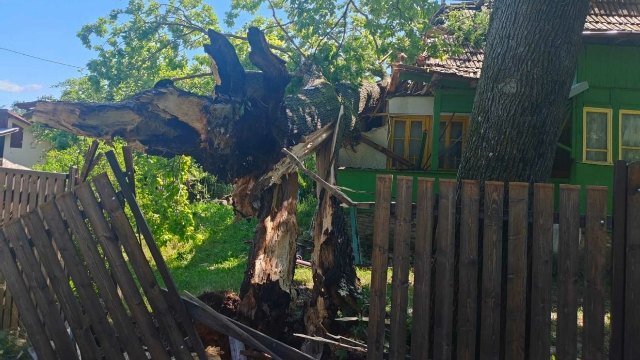 Peste 8000 de gospodării, fără alimentare cu energie electrică din cauza furtunii care a provocat avarii pe reţeaua de alimentare. Echipele de intervenţie lucrează de mai multe ore pentru remedierea avariilor