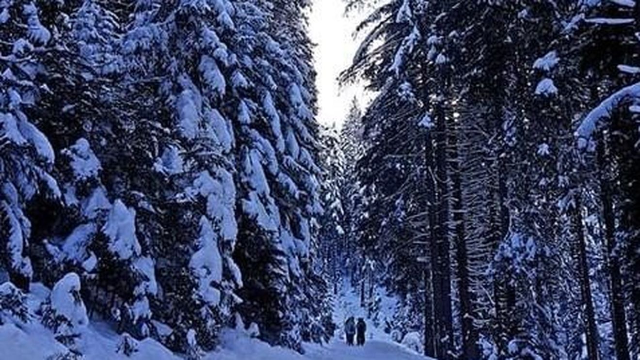 Traseele Via Transilvanica nu sunt recomandate iarna, dar ”nu putem să oprim pe nimeni„, anunță organizatorii / ”Marcajele s-ar putea să fie acoperite de zăpadă”