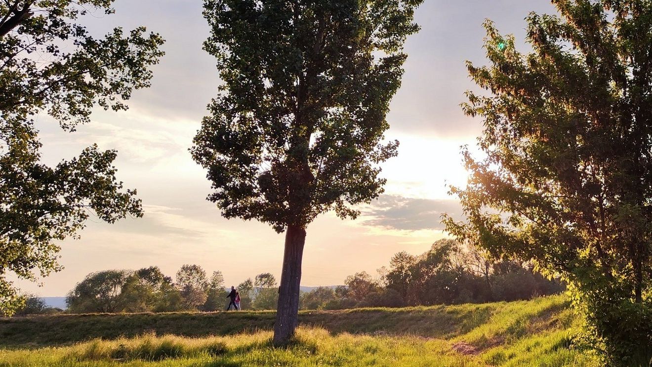 METEO: Vreme plăcută în următoarele două săptămâni / Ploi pe arii extinse în majoritatea regiunilor, după 25 septembrie