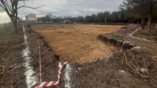 UPDATE 2,5 hectare din Pădurea Comorova ar urma să fie tăiate pentru un complex turistic/ Dezvoltatorul imobiliar Novum Invest: Nu este pădure, ci teren cu detinația curți construcții