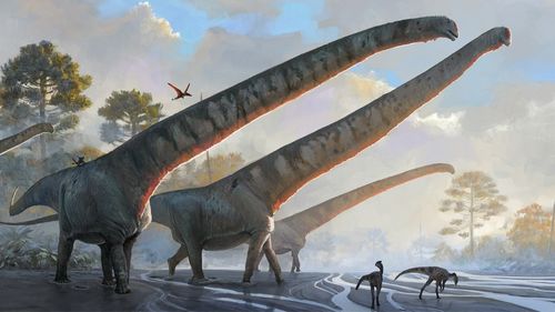 Cel mai lung dinozaur cunoscut vreodată avea un gât de peste 15 metri lungime și trăia în urmă cu 162 de milioane de ani în zona unde astăzi se află China - studiu