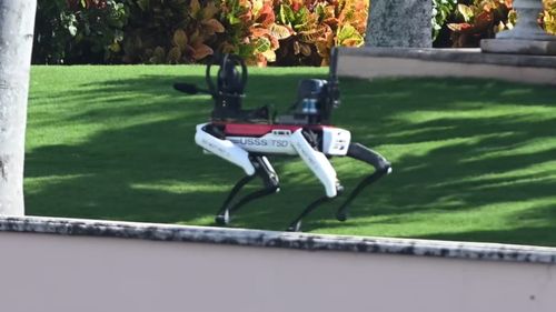 "Nu mângâiați": Serviciile secrete americane folosesc un câine robot pentru a patrula perimetrul stațiunii Mar-a-Lago a lui Donald Trump