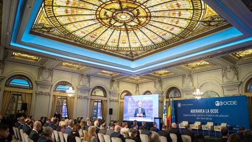 Luca Niculescu, secretar de stat Ministerul de Externe: România a luat 6 avize OCDE din 26. La Sănătate vor fi evaluate experienţele pacienţilor cronici în spitalele din ţară