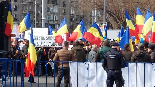 Miting al silvicultorilor în Bucureşti: Guvernul a tăiat salarii şi drepturi consfinţite prin legi, umilind 25.000 de angajaţi din sectorul silvic românesc / Lista de revendicări a silvicultorilor
