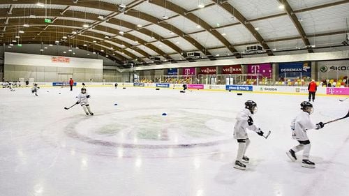 Primarul Brașovului se plânge că aleșii locali îi blochează un parteneriat cu Fundația Țiriac care s-a oferit să construiască, gratuit, un patinoar / UPDATE Consiliul Local a aprobat memorandumul