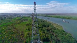 Amenzi de peste 500.000 de lei, date de ANPC după controale la peste 100 de furnizori de energie electrică din toată ţara/ Printre nereguli: nu erau emise facturile conform contractelor încheiate, nu erau informaţi consumatorii cu privire la preţul final