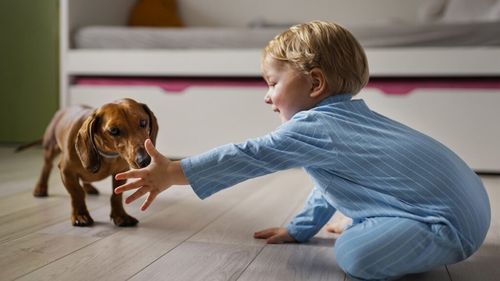 Cum recunoști primul semn de anxietate la câine în preajma copiilor. Ce trebuie să știe stăpânii de câini despre stresul animalelor