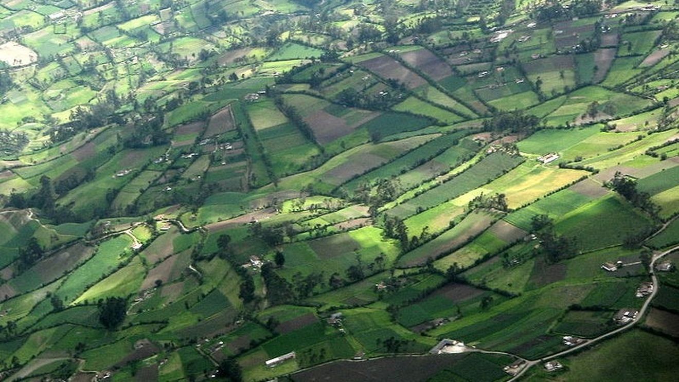 ADS scoate la licitație cu strigare peste 10.000 de hectare de teren agricol în mai multe județe / ”Avem prima dată terenuri arabile, avem vii, livezi...”