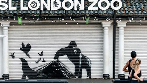 Banksy "eliberează" animalele de la Grădina Zoologică din Londra pentru a încheia seria intrigantă de graffiti