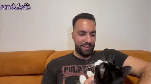 De ce să adopți un animal de companie: Povestea lui Franț, motanul adoptat de Mihnea (VIDEO)