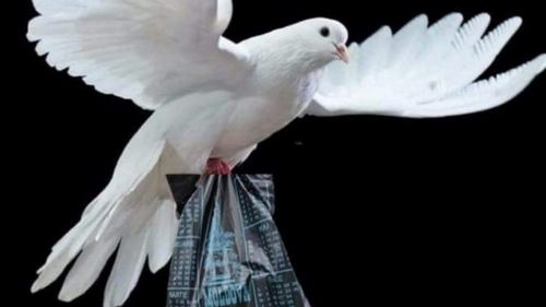 Dodon, atac la Maia Sandu: Nu schimbaţi porumbelul din mână pe coţofana de pe gard / Val de ironii pe internet în Modova, meme-uri cu Putin și porumbei