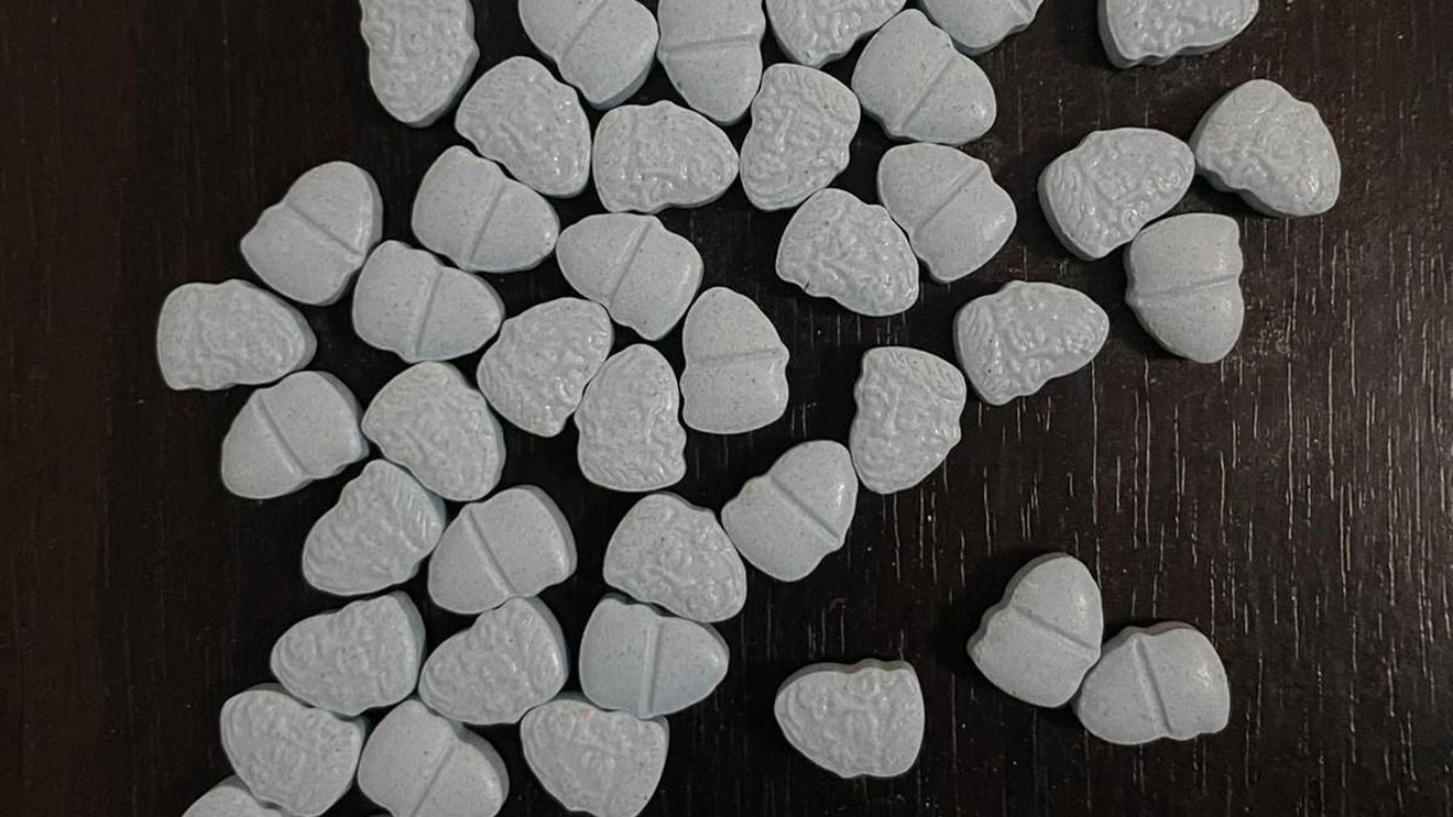 Mii de comprimate de ecstasy ascunse în hrană pentru câini, aduse de doi traficanţi din Olanda
