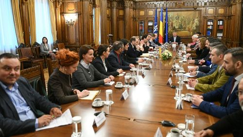 Reprezentanții ONG-urilor, după întâlnirea cu Iohannis: ”Sigur va fi referendum pe justiție în ziua alegerilor europarlamentare” / Pârvulescu: Întrebarea pentru referendum va fi dezvăluită până pe 4 aprilie