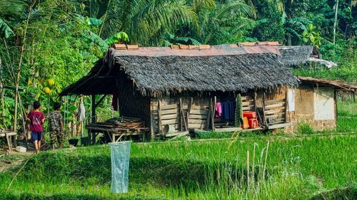 Indonezia: autoritățile dintr-o zonă rurală le dau găini bonus bătrânilor care se vaccinează anti-Covid