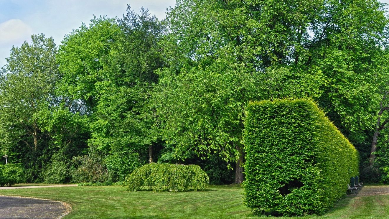 Guvernul promovează o hotărâre care face ca SRI să cedeze un teren de milioane de euro din București ca să se facă un parc pe el