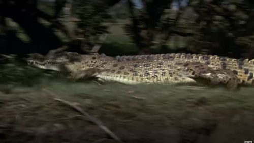A murit crocodilul Burt din celebrul film „Crocodile Dundee”, la vârsta de 90 de ani