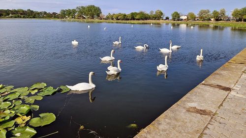 Calitatea apei din Constanța și Tulcea va fi monitorizată timp de 14 zile, după distrugerea barajului din Ucraina / INSP: E necesară o doză mare de bacterii pentru a apărea infecția cu holeră