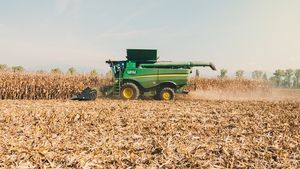 De ce a convertit un fermier belgian de lângă Timișoara 1800 de hectare la producție bio