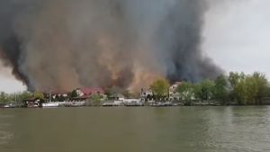Incendiu forestier, izbucnit în apropierea satului Ceatalchioi, din Delta Dunării