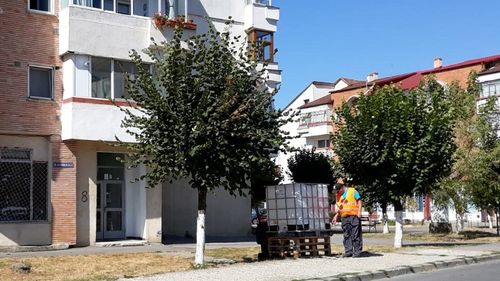 Două orașe din județul Bacău, blocate complet de lipsa apei. Școlile și grădinițele au fost închise din cauza unui lanț de avarii la rețeaua operată de baronul PSD Felix Stroe