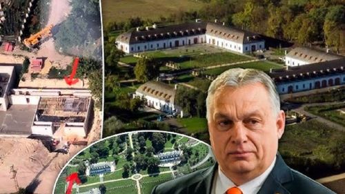 Rechini, zebre, crocodili și struți: pasiunea liderilor lumii pentru animale exotice dusă la extrem. Ce țin în curte Viktor Orban și Ramzan Kadîrov