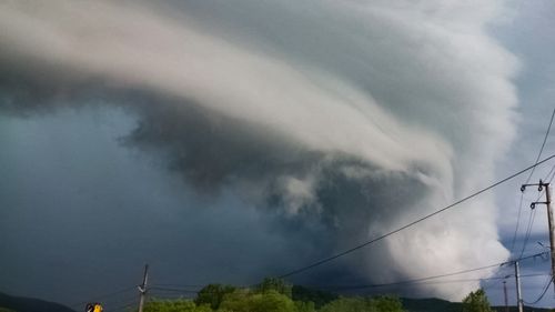 Furtuni puternice au măturat sudul și sud-vestul țării / În Gorj a plouat cu grindină, în Ialomița și Prahova vântul a pus copaci la pământ