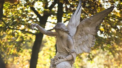 Cum va deveni un cimitir dintr-un mic oraş francez sursă de energie electrică ieftină prentru localnici